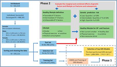 Genetic Risk for Osteoporosis and the Benefit of Adherence to Healthy Lifestyles